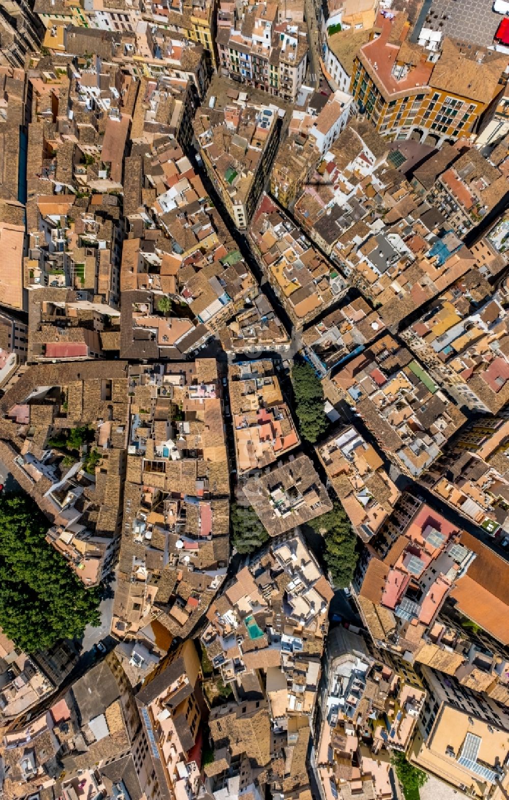 Senkrecht-Luftbild Palma - Senkrechtluftbild Stadtansicht vom Innenstadtbereich rundum den Plaça del Mercadal an der Carrer de la Llotgeta in Palma in Balearische Insel Mallorca, Spanien