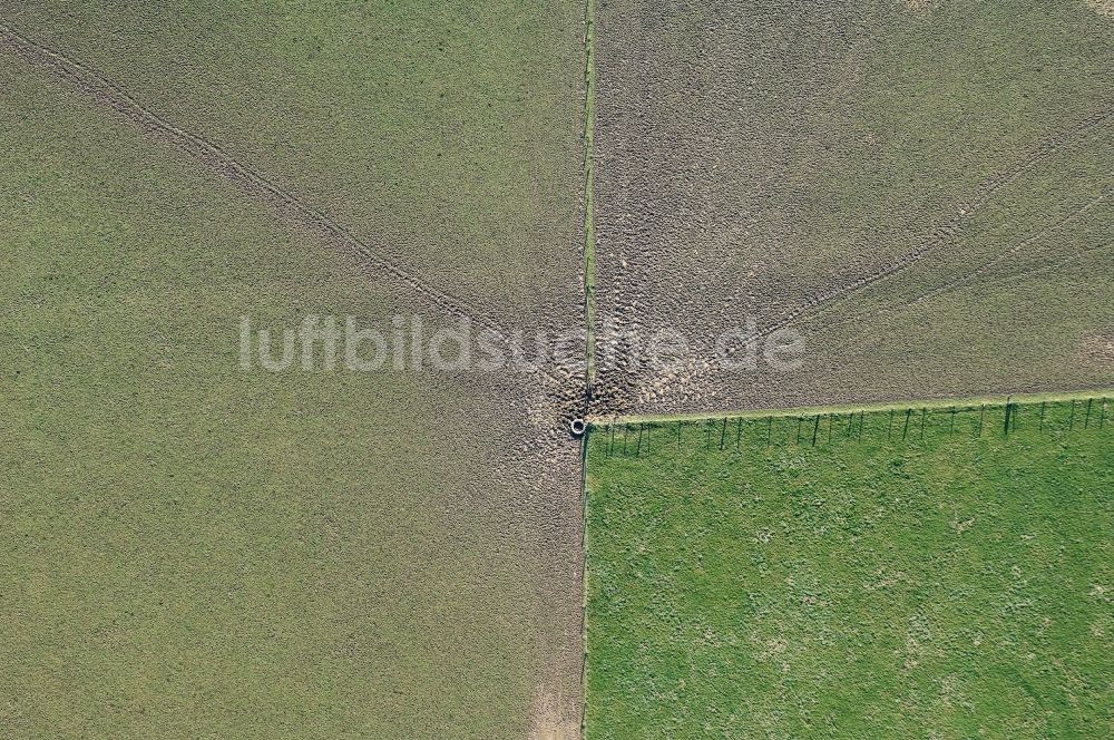 Senkrecht-Luftbild Langendorf - Senkrechtluftbild Strukturen auf landwirtschaftlichen Feldern bei Langendorf im Bundesland Nordrhein-Westfalen, Deutschland