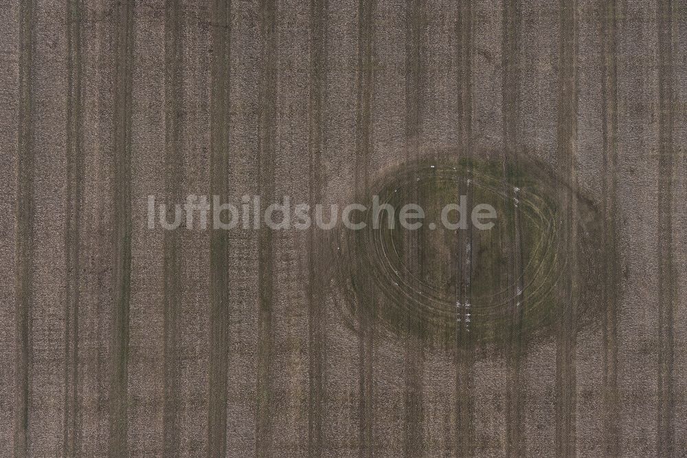 Senkrecht-Luftbild Nörvenich - Senkrechtluftbild Strukturen auf landwirtschaftlichen Feldern Keitz in Nörvenich im Bundesland Nordrhein-Westfalen, Deutschland