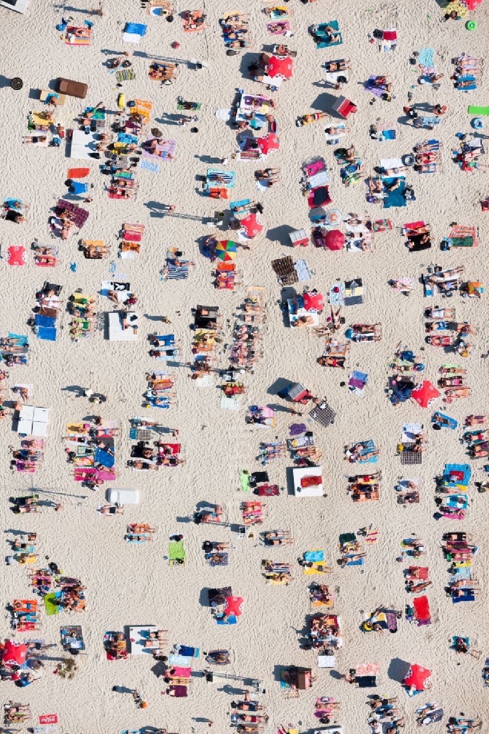 Senkrecht-Luftbild Köln - Senkrechtluftbild Uferbereiche am Sandstrand des Freibades Eschersee im Ortsteil Auweiler in Köln im Bundesland Nordrhein-Westfalen, Deutschland