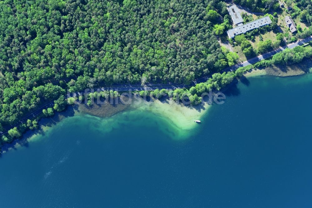 Senkrecht-Luftbild Joachimsthal - Senkrechtluftbild Uferbereiche des Sees Werbellinsee entlang der Landesstraße L220 in einem Waldgebiet in Joachimsthal im Bundesland Brandenburg, Deutschland