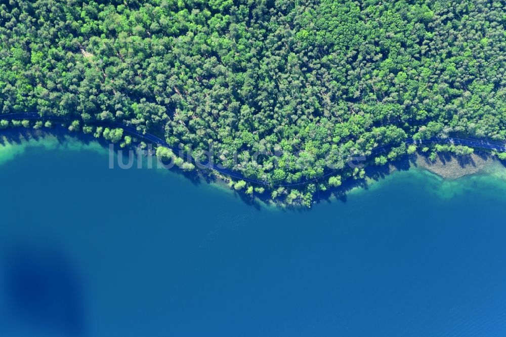 Senkrecht-Luftbild Joachimsthal - Senkrechtluftbild Uferbereiche des Sees Werbellinsee entlang der Landesstraße L220 in einem Waldgebiet in Joachimsthal im Bundesland Brandenburg, Deutschland